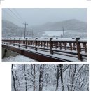 제1158차(26-08) 삼척 덕항산 정기산행공지(2026년 01월 24일) 이미지