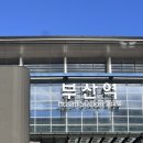 남천상회 | 부산여행 회맛집추천 남천동횟집 남천해변시장횟집통통상회 혼자여행후기