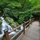 타임9002 이미지