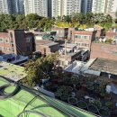 중앙동238 이미지