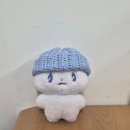 (주)티앤도촌에너지 | 2025 플레이브 앙콘 토요일 후기