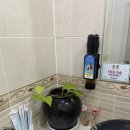 구진포장어집 | [전남나주] 구진포 장어맛집 제일장어 방문후기