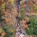 회남재 숲길 이미지