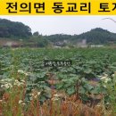 힐튼공인중개사사무소 이미지