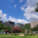 7세 유치부 동화구연 이미지