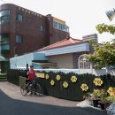 조천삼일어린이집 이미지