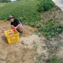 수성동011 이미지