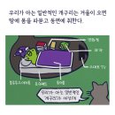 미래냉동