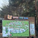 깨비스테이 | 청주 동물원 커플 데이트 코스 추천 근처 벚꽃 개화 카페 주차 꿀팁