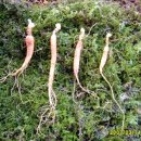 노두농장 이미지