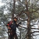 모둘자리 이미지