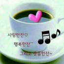 한잔 Daum카페