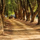 한누리어린이집 이미지