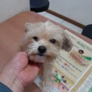 신월동184 이미지