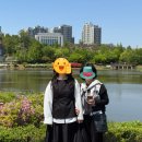 푸른수목원 | [공지] [가족 나들이 추천] 구로 항동 푸른수목원 산책 후기-사진 찍기 좋은 곳!