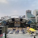 미뇽루