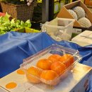 고려유통 | 가락시장 과일 선물세트 구매하는 꿀팁 바나나유통 솔직후기