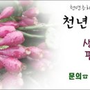 진천전화판매