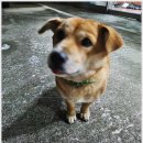 기운센장어본점/네오포크 이미지