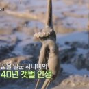 사강식당 네이버블로그