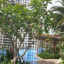 동홍산미술학원 4가 1 | [호치민 생활] 에스텔라 하이츠 아파트 5년차 후기 (장단점, 시세, 쇼핑몰, 학원가, 수영장, 마트 총정리)