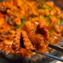 목동신트리점이디야커피 | 오목교 맛집 쭈꾸미도사 오목교 푸짐한 점심 추천
