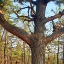 유금1리 이미지