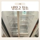 냉장고 청소 비용 경기도 수원 냉장고 청소업체 후기