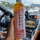 [용냥부부 2박3일 구례, 공주여행] 🌸꽃구경파뤼🌸:: 지리산벚꽃길, 화엄사, 사성암, 계룡산벚꽃축제...