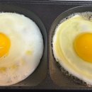 우프동물농장 이미지