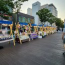 신스포레스트 이미지