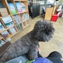 양원주동물병원 이미지