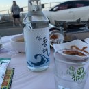 여행‧̍̊˙·𓆝.🏄🏻‍♀️˚𓆛˚｡𓆞 ·˙‧̍̊(또만나식당, 초당커피정미소, 오징어난전, 속초포장마차거리, 황금마차)