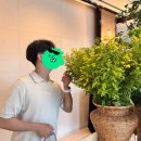 용산-279 | JW메리어트 동대문스퀘어서울 호텔 애프터눈티세트 아망떼 델 망고 후기