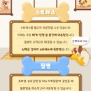 분당-282 이미지