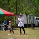 고인돌휴게소(상행선) 이미지