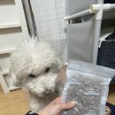 프레시독 이미지