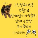 컴퓨터 자격증반 | 💻 그린컴퓨터아카데미 신촌[오전반] 컴퓨터활용능력 1급 필기&amp;실기 자격증반 ✨ 실제 수강생 후기 총정리