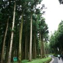 절물자연휴양림 이미지