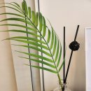 올바름 반려견 뷰티샵 이미지