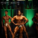 선샤인피티샵
