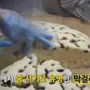 달인막걸리