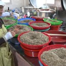 명인농장 이미지