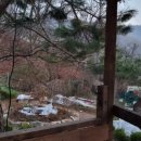 비로소 봄 이미지