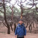 김유신장군로 이미지