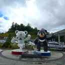 횡성휴게소(하) | 강원도 반값여행 지역 신청방법 코스추천 2026 여행가는 달 혜택 총정리