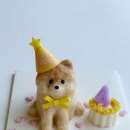 펫쯔스낵 애견수제간식 안산본점 이미지