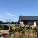 러브제주펜션 | 제주여행 자쿠지 감성숙소ㅣ보름못ㅣ제주독채펜션 솔직후기