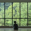 그숲 (부산점) | 친구들과 1박2일 힐링여행 - 부산 근교, 양산 숲애서 | 숲애구름 프로그램 참여후기