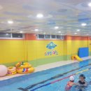 스위밍키즈 이미지